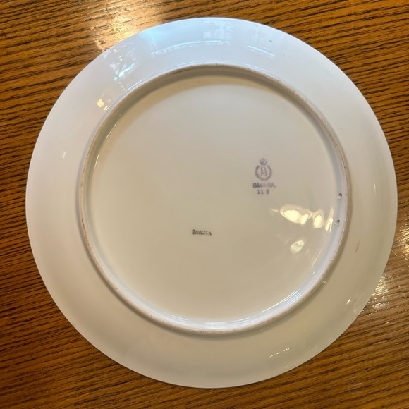 Antique PM Porzellan Moschendorf Bavaria Hand Painted Porcelain Plate Grouse - Picture 4 of 4